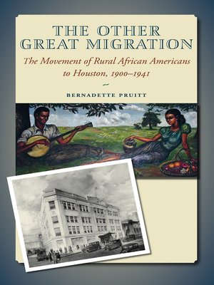 cover image of The Other Great Migration